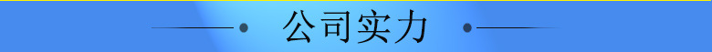 公司實(shí)力